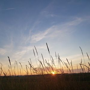 Meet your Posher, Lexus